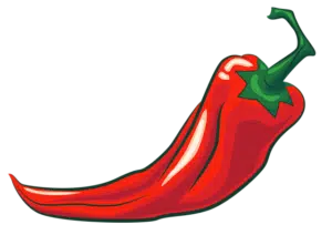 pepper chilli pepper